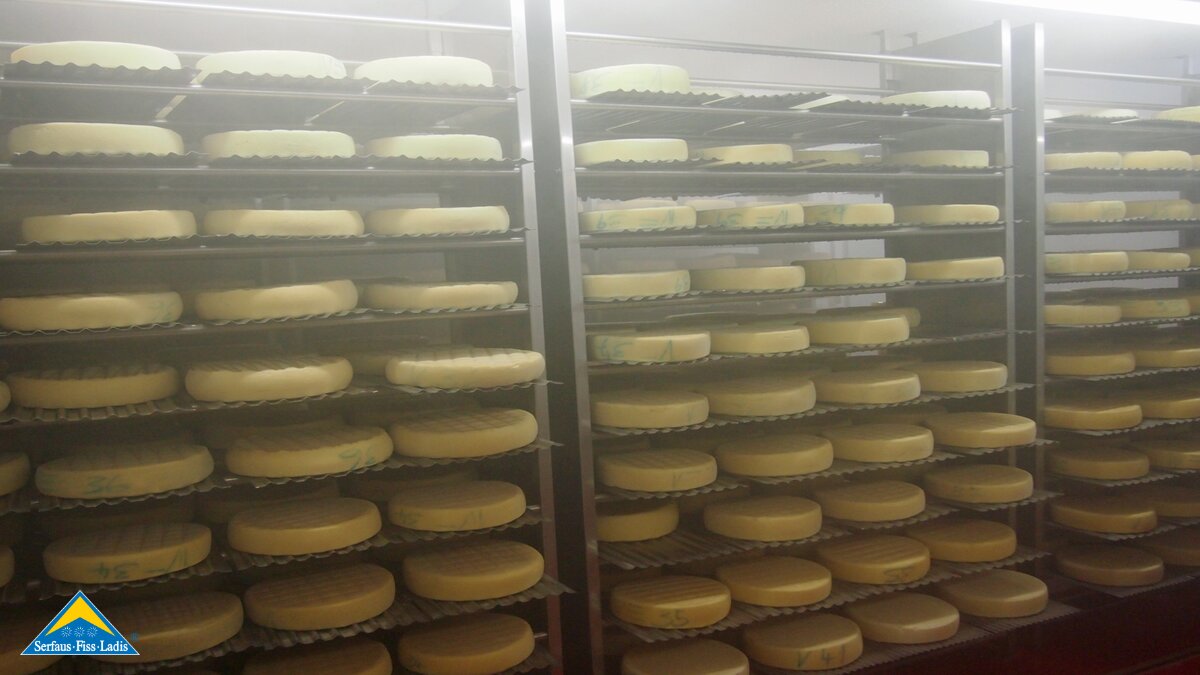 Der Almkäse beim Reifeprozess in der Komperdell Alpe | © Serfaus Fiss Ladis