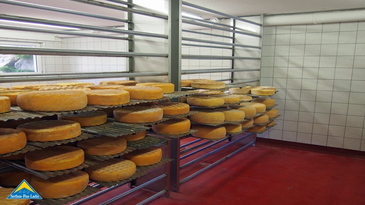 Der Bergkäse in der Komperdell Alpe beim Reifungsprozess | © Serfaus Fiss Ladis