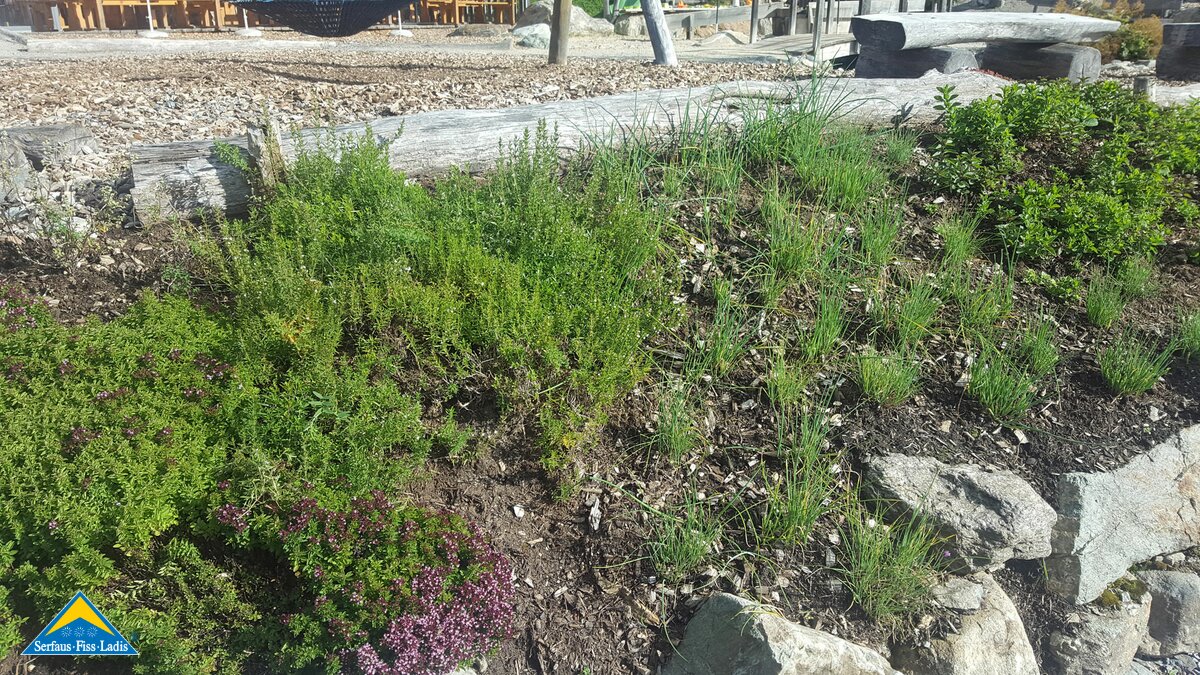 Der Kräutergarten beim Leithe Wirt in Serfaus in Tirol | © Serfaus Fiss Ladis
