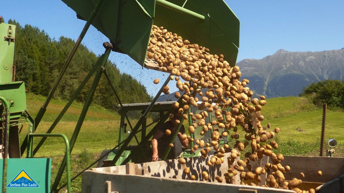 Regional kaufen Familienregion Serfaus-Fiss-Ladis nachhaltig Bauern Fisser Goggala Florian Plangger  | © Fisser Goggala