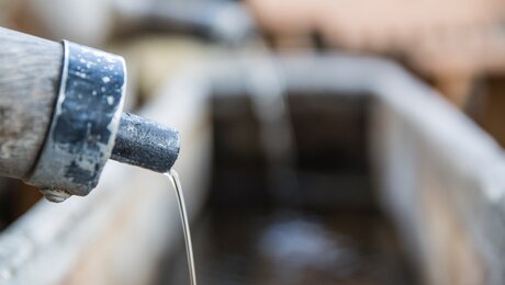 Der Sauerbrunn rinnt aus der Quelle in Obladis in Tirol | © Socialweb