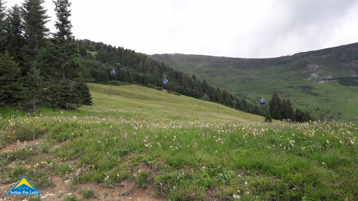 Blick vom Leithe Wirt zur Waldbahn in Serfaus-Fiss-Ladis | © Serfaus-Fiss-Ladis