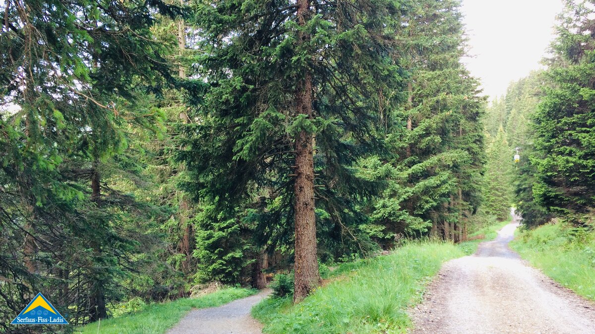 Der Weg zum Leithe Wirt in Serfaus in Österreich | © Serfaus-Fiss-Ladis