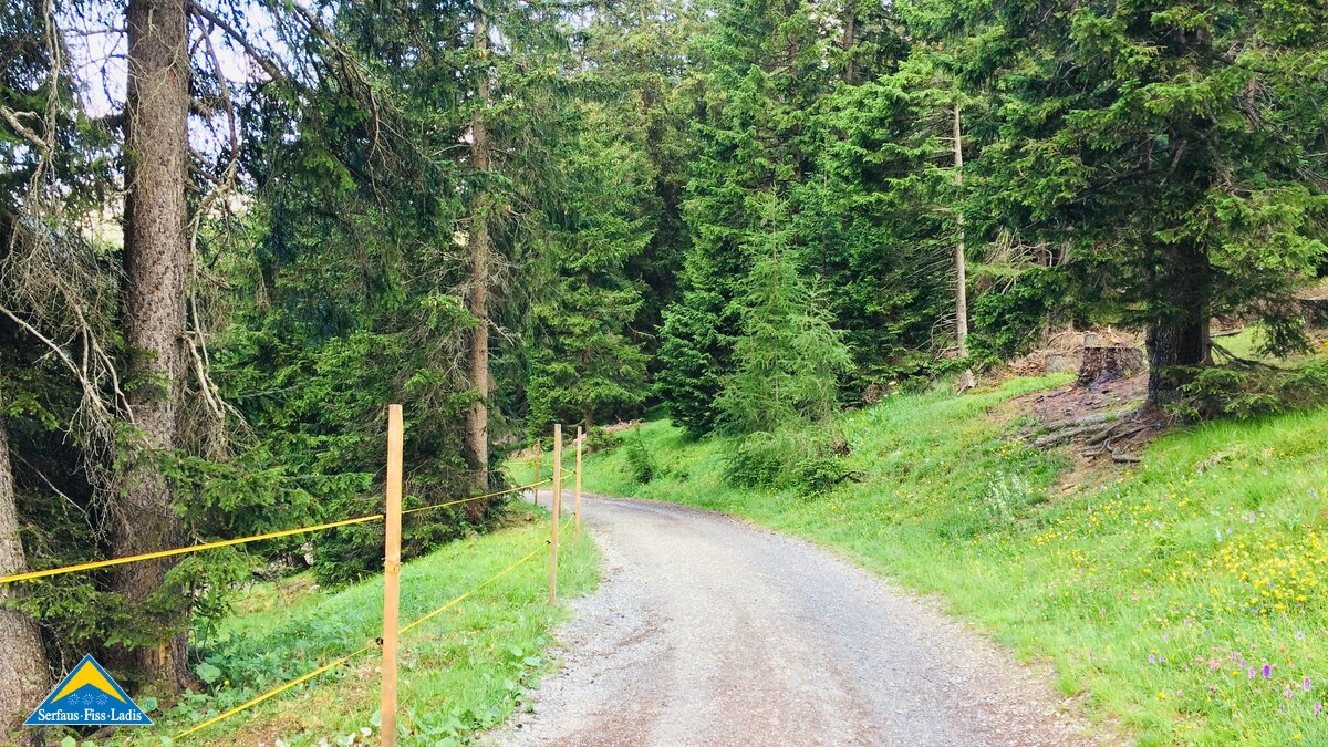 Der Weg zum Leithe Wirt in Serfaus in Österreich | © Serfaus-Fiss-Ladis