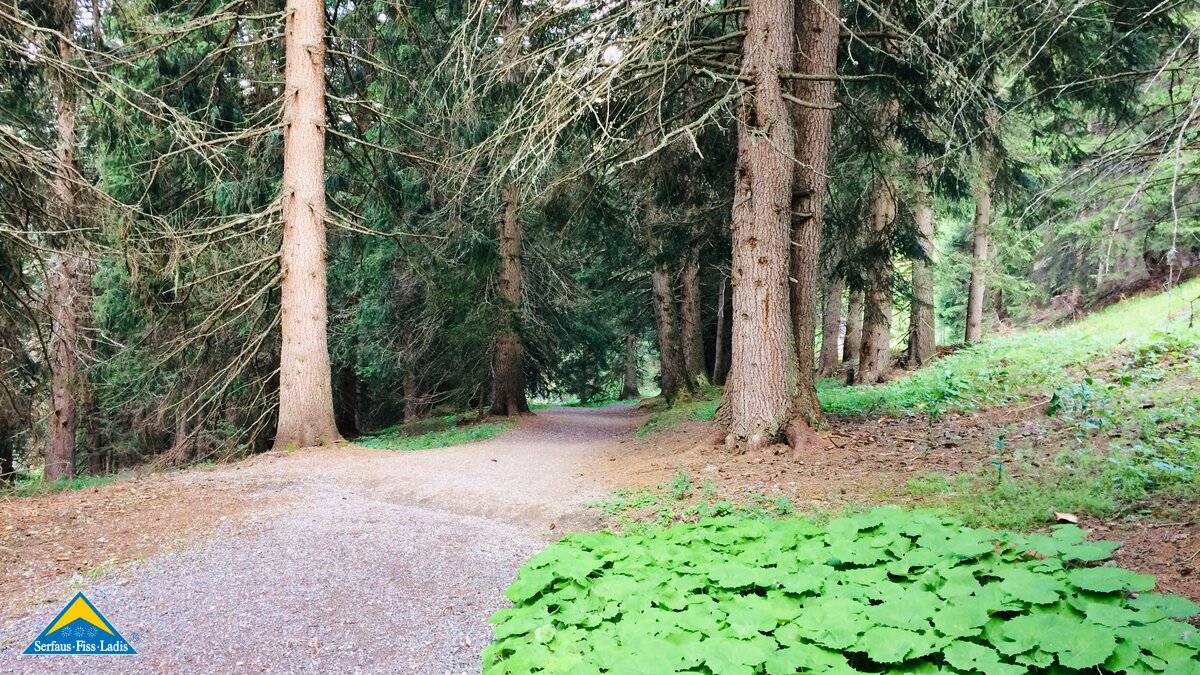 Der Weg zum Leithe Wirt in Serfaus-Fiss-Ladis in Österreich | © Serfaus-Fiss-Ladis