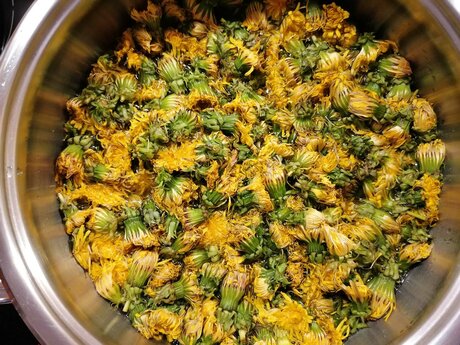 Das Rezept für den Löwenzahnsirup aus der österreichischen Familienregion Serfaus-Fiss-Ladis in Tirol ist die perfekte Alternative zu Bienenhonig | © Serfaus-Fiss-Ladis