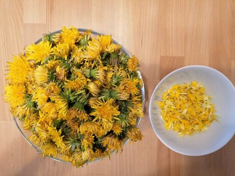 Einfaches Rezept für Löwenzahnsirup aus der österreichischen Familienregion Serfaus-Fiss-Ladis in Tirol als perfekte Alternative zu Bienenhonig | © Serfaus-Fiss-Ladis