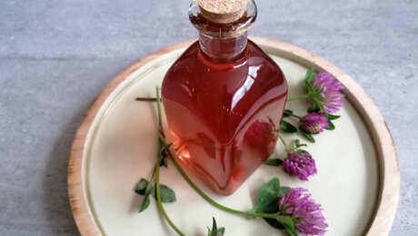 Kaiserschmarren mit Apfelmus aus Serfaus-Fiss-Ladis in Tirol Österreich | © Serfaus-Fiss-Ladis