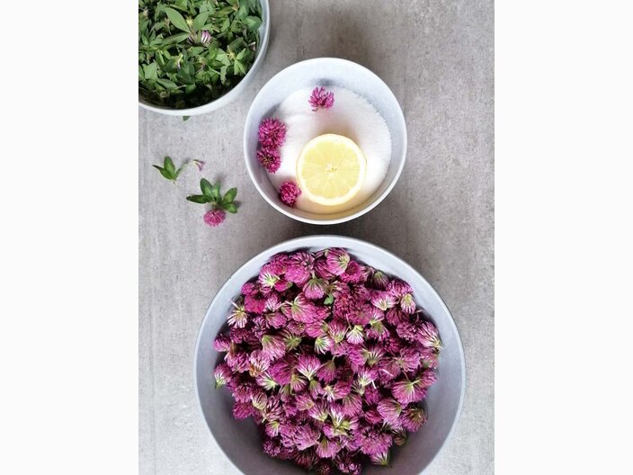 In nur wenigen Schritten und mit wenigen Zutaten zum Rotkleesirup aus der Tiroler Familienregion Serfaus-Fiss-Ladis in den Alpen | © Serfaus-Fiss-Ladis