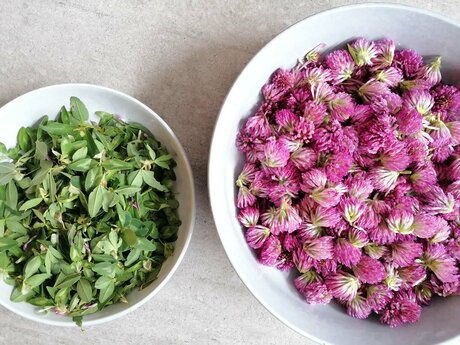 Mike der Küchenchef im Restaurant Leithe Wirt in der Tiroler Familienregion Serfaus-Fiss-Ladis, hat einen leckeren Rezepttipp für ein Sommergetränk mit Rotkleesirup | © Serfaus-Fiss-Ladis