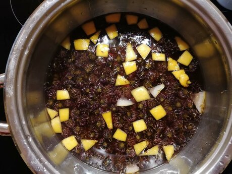 Der Rotkleesirup aus der familienfreundlischen Urlaubsregion Serfaus-Fiss-Ladis in Tirol eignet sich wunderbar für ein Sommergetränk | © Serfaus-Fiss-Ladis