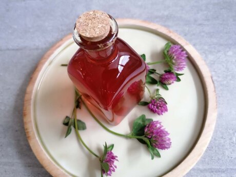 Rotklee wächst auch in den Bergen der Familienregion Serfaus-Fiss-Ladis in Tirol und kann zu Sirup verarbeitet werden | © Serfaus-Fiss-Ladis