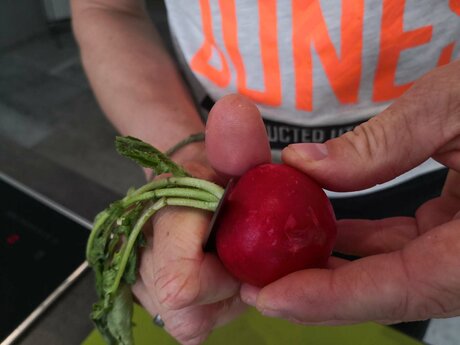 Im Obergrichtler Sommersalat aus der Tiroler Familienregion Serfaus-Fiss-Ladis in Tirol dürfen heimische Radieschen nicht fehlen | © Serfaus-Fiss-Ladis