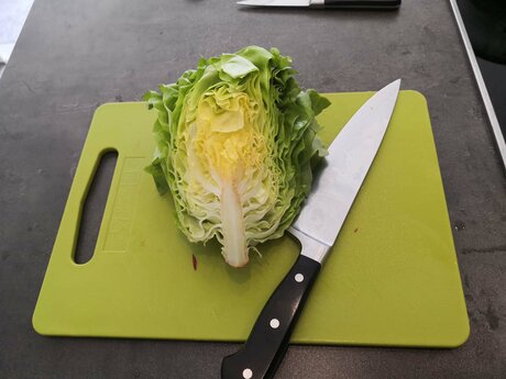 Zu einem Bergsommer in der Familienregion Serfaus-Fiss-Ladis in Tirol gehört ein leichter Sommersalat mit Tiroler Honig und Kalbsschnitzel einfach dazu | © Serfaus-Fiss-Ladis