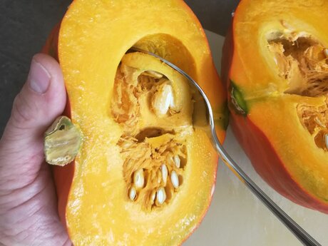 Herbstküche Hokkaido schnelle einfache Suppe Blog Serfaus-Fiss-Ladis | © Serfaus-Fiss-Ladis