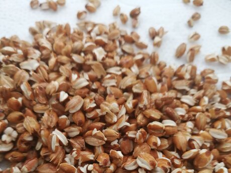 Rezept Suppeneinlage mit Gerste aus Fiss | © Serfaus-Fiss-Ladis