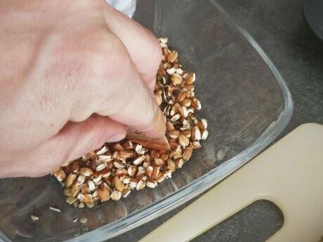 Suppeneinlage aus Bot mit gepuffter Gerste und gerösteten Kürbiskernen Rezept Blog Serfaus-Fiss-Ladis | © Serfaus-Fiss-Ladis