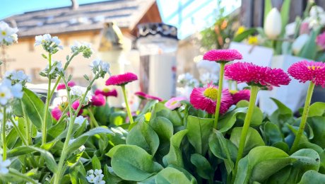 Sternenkinder Bestattung Fiss Katholischer Familienverband Fiss Fisser Kochbuch so kocht ma z'Fiss Monika Kathrein Blog Serfaus-Fiss-Ladis in Tirol | © Katholischer Familienverband Fiss