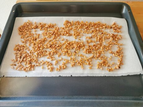 Fisser Imperial Gerste Rezepte frittierte Gerste Suppeneinlage Rhabarberkuchen Blog Serfaus-Fiss-Ladis in Tirol | © Serfaus-Fiss-Ladis Marketing GmbH