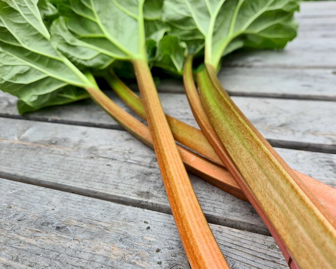 Kulinarik Familienregion Serfaus-Fiss-Ladis Köchin Lisa Oestreich Rezepttipp Frühling Rhabarber Blogartikel | © Serfaus-Fiss-Ladis Marketing GmbH