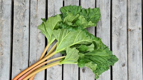 Rezept Fisser Imperial Gerste Rhabarber Tart Köchin Lisa Oestreich Blogartikel Familienregion Serfaus-Fiss-Ladis Tirol | © Serfaus-Fiss-Ladis Marketing GmbH