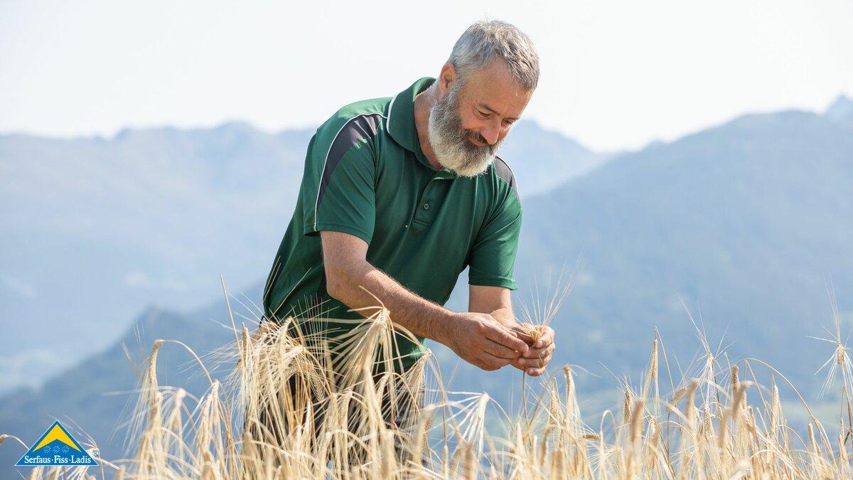 Alte Getreidesorte Fisser Imperial Gerste Anbau in Fiss Getreidebauer im Getreidefeld Familienregion Serfaus-Fiss-Ladis in Tirol | © Serfaus-Fiss-Ladis Marketing GmbH | Andreas Kirschner
