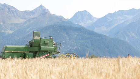 Getreideernte Einsatz Mähdrescher Fisser Imperial Gerste Urkorn Serfaus-Fiss-Ladis | © Serfaus-Fiss-Ladis Marketing GmbH | Andreas Kirschner