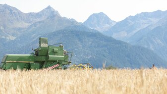 Getreideernte Einsatz Mähdrescher Fisser Imperial Gerste Urkorn Serfaus-Fiss-Ladis | © Serfaus-Fiss-Ladis Marketing GmbH | Andreas Kirschner