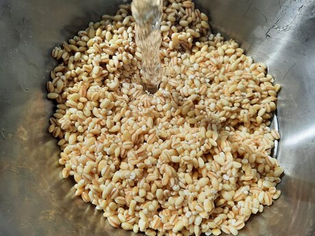 Gerste im Sieb mit kalten Wasser abwaschen Rezepttipp aus Serfaus-Fiss-Ladis in Tirol | © Serfaus-Fiss-Ladis Marketing GmbH