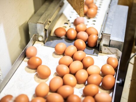 Eier aus Fiss von Florian Plangger Bauernläden mit Fisser Goggala in Serfaus-Fiss-Ladis in Tirol | © Serfaus-Fiss-Ladis Marketing GmbH | Rene Raggl