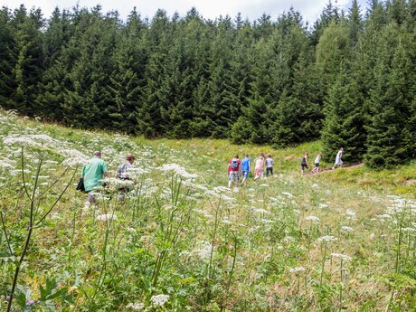 Lernt die Naturapotheke besser kennen in der Familien Wander Region Serfaus-Fiss-Ladis in Tirol Österreich | © Serfaus-Fiss-Ladis Marketing GmbH | Andreas Kirschner