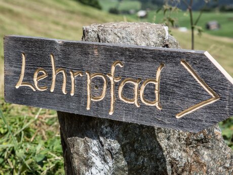 Gemütliche Wanderungen in der Familien Region Serfaus-Fiss-Ladis in Tirol Österreich | © Serfaus-Fiss-Ladis Marketing GmbH | Andreas Kirschner