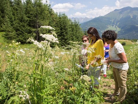 Viel zu entdecken gibt es am Wildkräuter-Lehrpfad in Serfaus-Fiss-Ladis in Tirol Österreich | © Serfaus-Fiss-Ladis Marketing GmbH | Andreas Kirschner