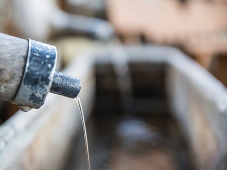 Der Sauerbrunn rinnt aus der Quelle in Obladis in Tirol | © Socialweb