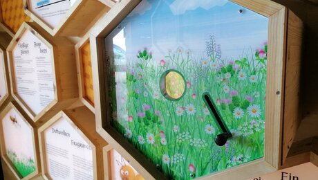Im Bienenhaus auf der Hög im familienfreundlichen Serfaus-Fiss-Ladis in Tirol gibt es Interessantes über das Leben der Bienen zu erfahren | © Serfaus-Fiss-Ladis