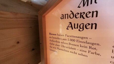 Im Bienenhaus auf der Hög im familienfreundlichen Serfaus-Fiss-Ladis in Tirol gibt es Interessantes über das Leben der Bienen zu erfahren | © Serfaus-Fiss-Ladis