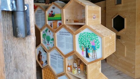 Im Bienenhaus auf der Hög im familienfreundlichen Serfaus-Fiss-Ladis in Tirol gibt es Interessantes über das Leben der Bienen zu erfahren | © Serfaus-Fiss-Ladis