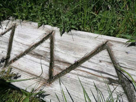 Die Tränke neben dem Bienenstock versorgt die Bienen in der Tiroler Familienregion Serfaus-Fiss-Ladis mit Wasser | © Serfaus-Fiss-Ladis