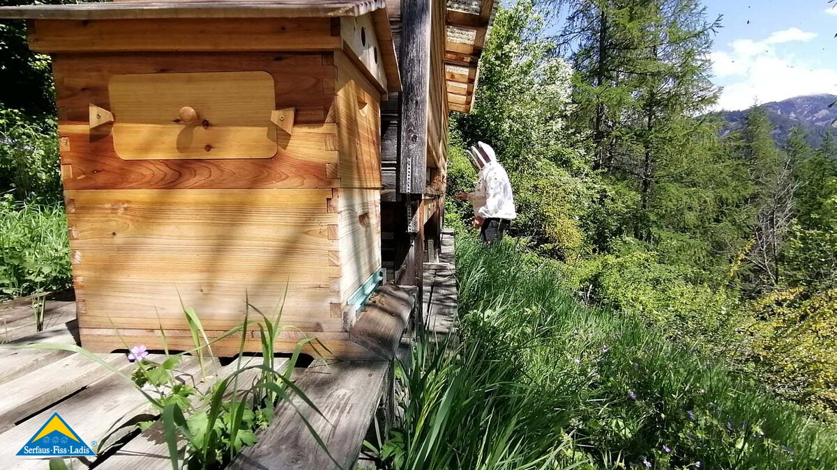 Imker Alfred betreut seine Bienen in der Tiroler Familienregion Serfaus-Fiss-Ladis. | © Serfaus-Fiss-Ladis