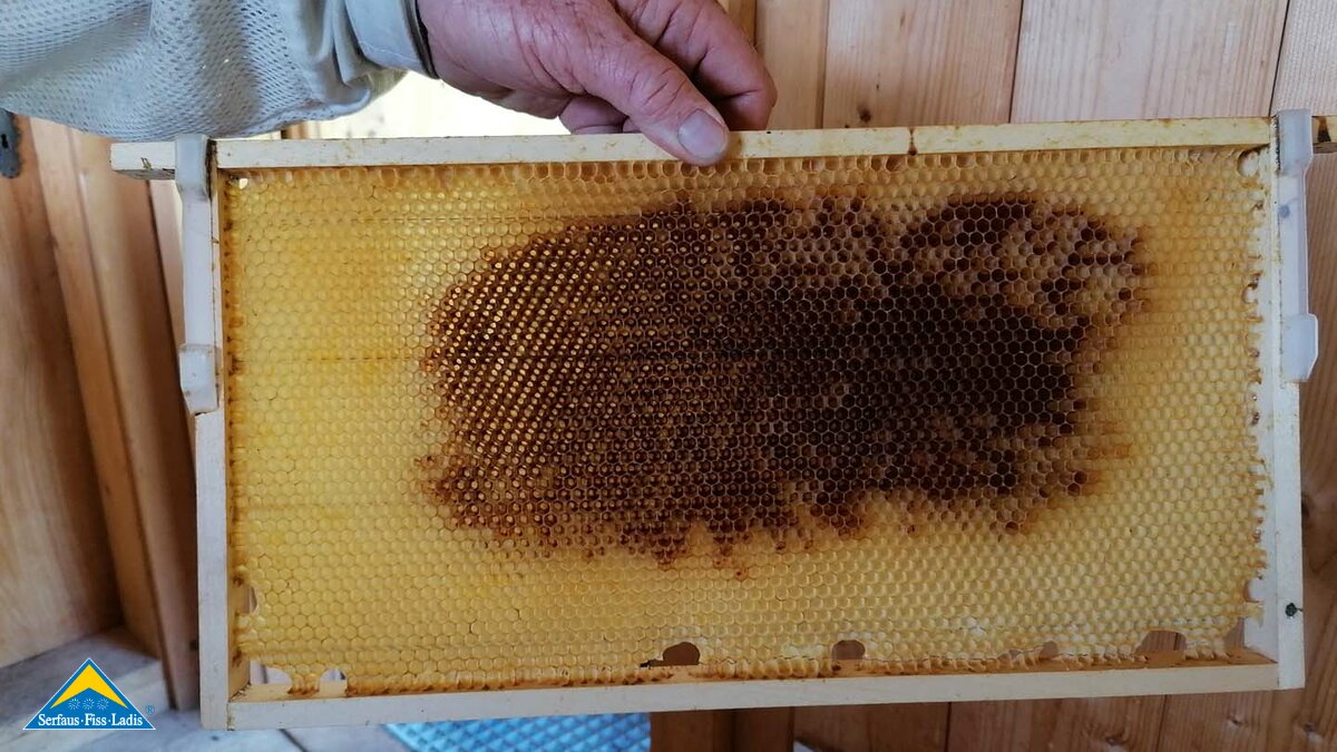 Imker Alfred und Betriebsleiter bei der Seilbahn Komperdell in der Tiroler Familienregion Serfaus-Fiss-Ladis in Österreich | © Serfaus-Fiss-Ladis