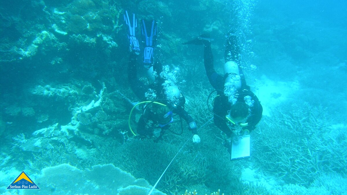 Arnold Mangott aus Serfaus in Tirol studierte Meeresbiologie in Australien | © Arnold Mangott