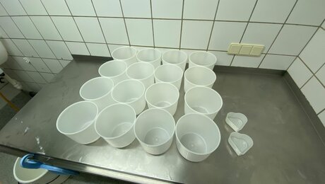 Interview mit Bauer Hans Pittl aus Ladis Käse herstellen Serfaus-Fiss-Ladis Tirol Österreich | © Serfaus-Fiss-Ladis