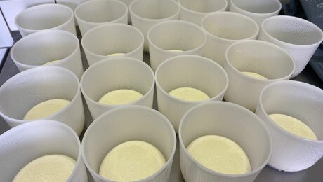 Bauernhof in Ladis Käse kaufen Familienregion-Serfaus-Fiss-Ladis Tirol Österreich | © Serfaus-Fiss-Ladis