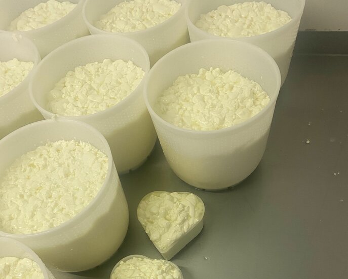 Käse vom Bauernhof kaufen Familienregion Serfaus-Fiss-Ladis | © Serfaus-Fiss-Ladis