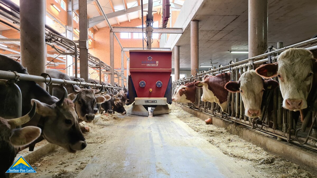 Fütterungsroboter Ausmistroboter mit Handy navigieren modernster Stall in Tirol Belezzahof Gabriel Netzer People of SFL Blogartike Familienregion Serfaus-Fiss-Ladis | © Serfaus-Fiss-Ladis Marketing GmbH