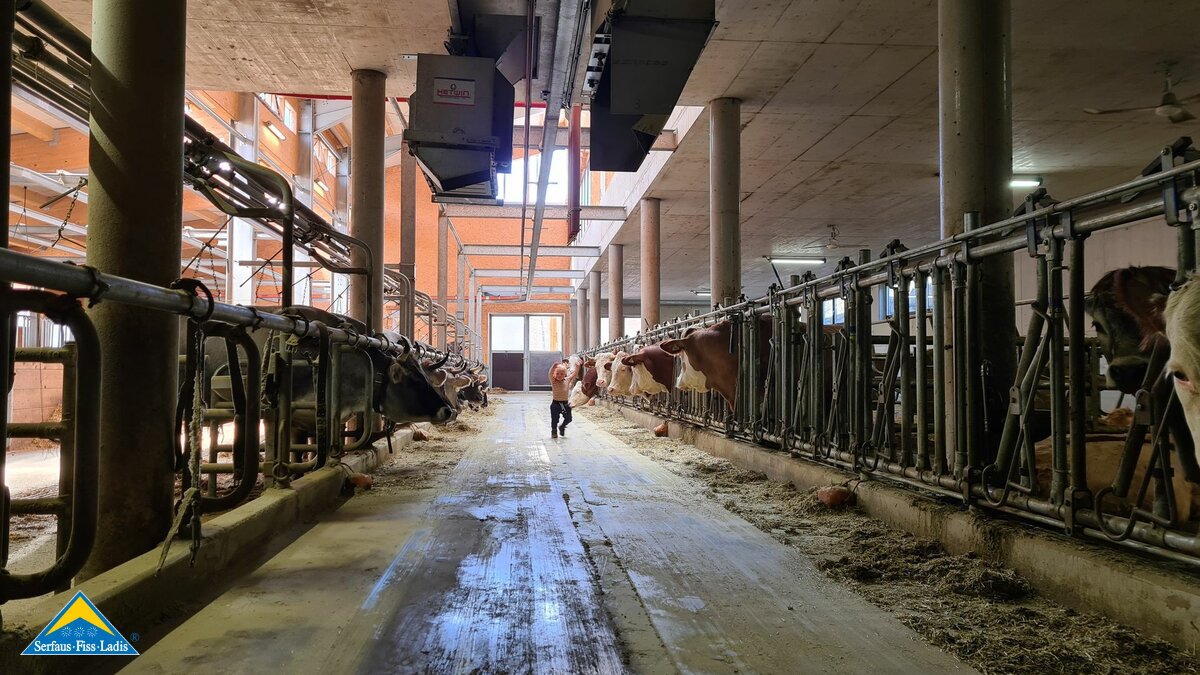 Bauernhof Familienregion Serfaus-Fiss-Ladis moderster Hof Tirols Belezzahof Blog People of SFL | © Serfaus-Fiss-Ladis Marketing GmbH