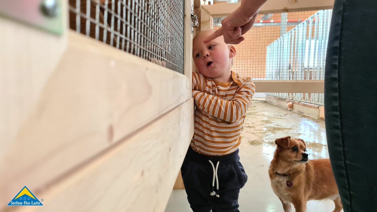 Selbstgebauter Hasenstall aus Holz Alpenkaninchen Belezzahof Bauernhof Familienregion Serfaus-Fiss-Ladis in Tirol | © Serfaus-Fiss-Ladis Marketing GmbH