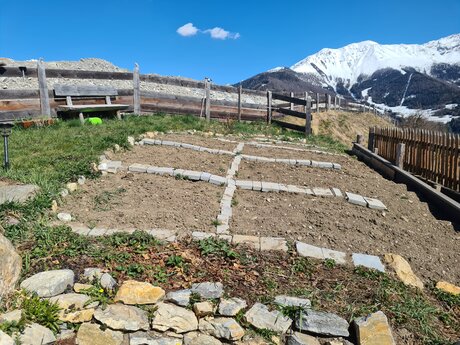 Projekt Kindergarten Ladis Belezzahof Erdäpfel Kartoffeln anbauen Gabriel Netzer Julia Leis Blog Serfaus-Fiss-Ladis | © Serfaus-Fiss-Ladis Marketing GmbH
