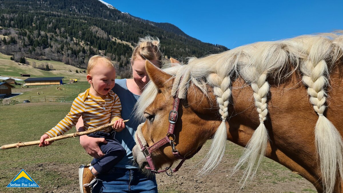 Haflingerzucht  Familienregion Serfaus-Fiss-Ladis Bauernhof Belezzahof in Tirol Ursula Netzer | © Serfaus-Fiss-Ladis Marketing GmbH