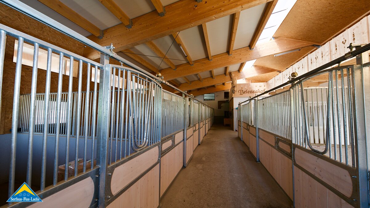 Haftlingerzucht Pferdestall Familienregion Serfaus-Fiss-Ladis in Tirol Leo Netzer Belezzahof Überwasser  | © Gabriel Netzer